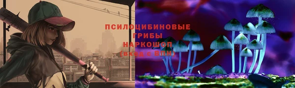 крисы Абинск