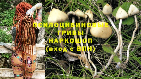 хмурый Алексеевка